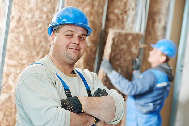 Best Attic Insulation Installation  in Jonesboro, IL